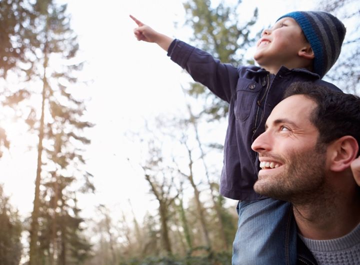 boy riding on dad's shoulders points excitedly to the sky