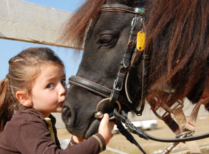 little girl kissing pony on the nose